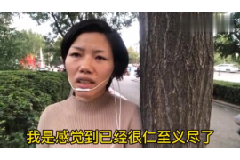 射洪企业清欠服务